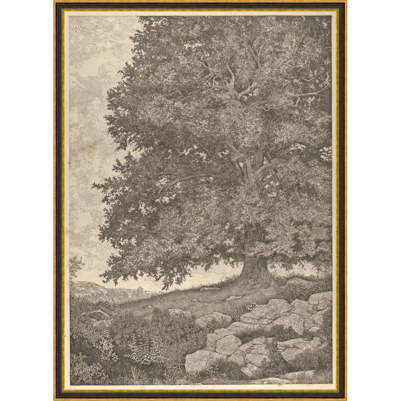 Grandfathers Tree Print