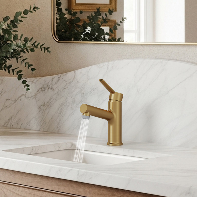 Single Hole Pull-Out Bathroom Faucet, Metal 2-Function Sprayer Bathroom Sink Faucet with Drain Assembly, Brushed Gold