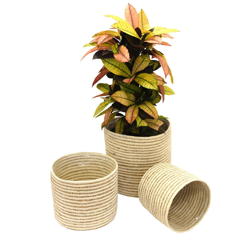Indoor Planter Basket Natural Seagrass Three Set - 25cm, 20cm & 17cm Diameter, 25cm H x 25cm W x 25cm D, White