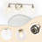 Modern Nickel Bathroom Vanity Light with Clear Shade Vanity Light Fixture without Light