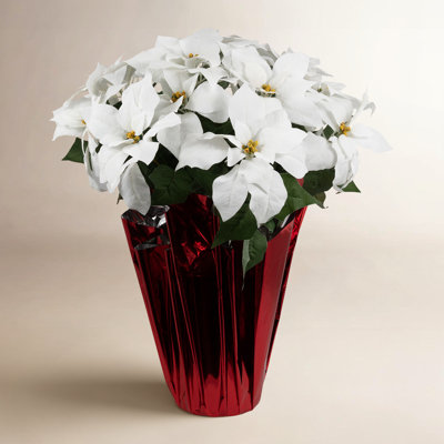 Poinsettia Floral Arrangement