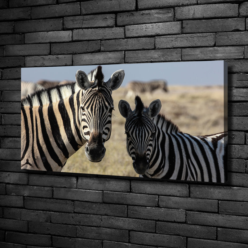 Two Zebras - Wrapped Canvas Print