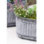 Bethke Metal Pot Planter