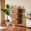 Armoire de rangement élégante à six compartiments