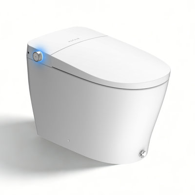 Natalie Smart Toilet with Tank Flush Bidet Wash, Auto Open Lid, 1.06 Gallons Auto Flush, Heat Seat, Warm Wash/Dryer, Soft Closing, Night Light, Remote Control