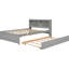 Lit double gris avec lit gigogne et bibliothèque fonctionnelle pour une chambre confortable - Space Essential-1394101161
