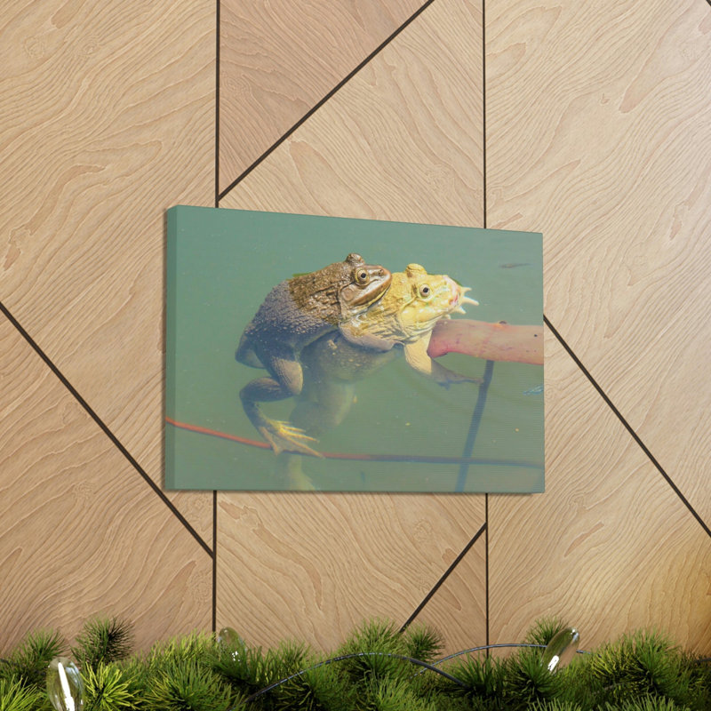 «Bull Frog Couple», impression d'art mural, H 12 po x l 18 po