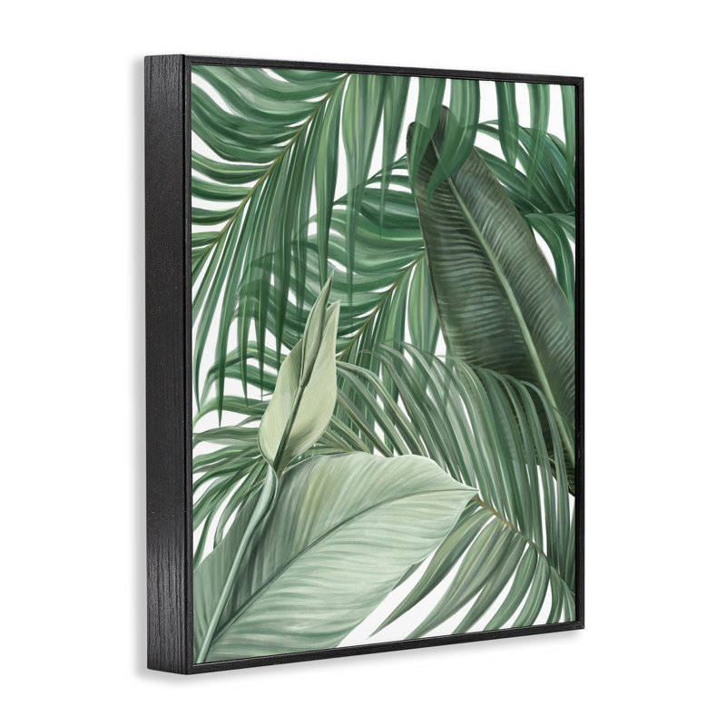 Giclée encadrée par Clean Tropics, H 14 po x l 11 po, Giclée encadrée noir minuit
