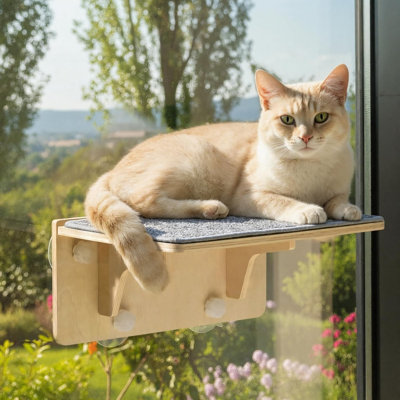 Perchoir pour fenêtre et tablettes murales 2 en 1, fenêtre hamac pour chat en bois massif, ventouse solide, tapis de housse lavable, siège de fenêtre pour chaton à l'intérieur, lit de perchoir pour regarder les oiseaux à l'intérieur, 16 po x 10 po
