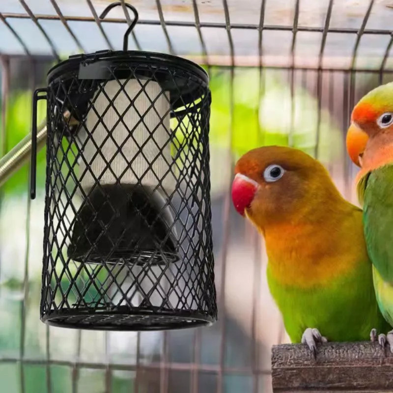 Lampe chauffante en céramique anti-brûlure, abat-jour rampant pour oiseaux, reptile, ampoule 100 W