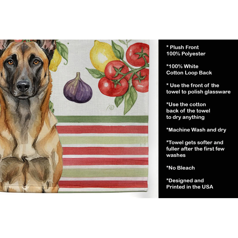 Torchon belge Malinois, Belgian Malinois