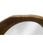 Freeform Rustic Accent Mirror