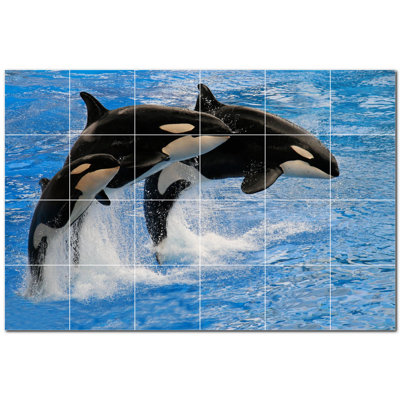 Murale en céramique satinée Whale Photo 12 po x 12 po