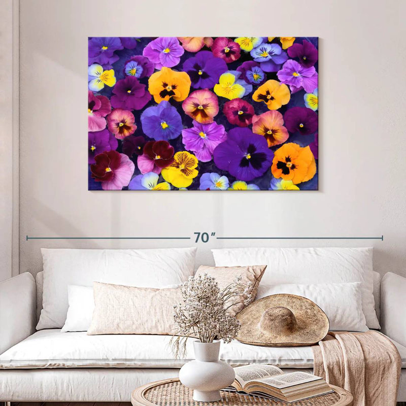 Couleurs Harnek Pansy, H 30 po x l 45 po
