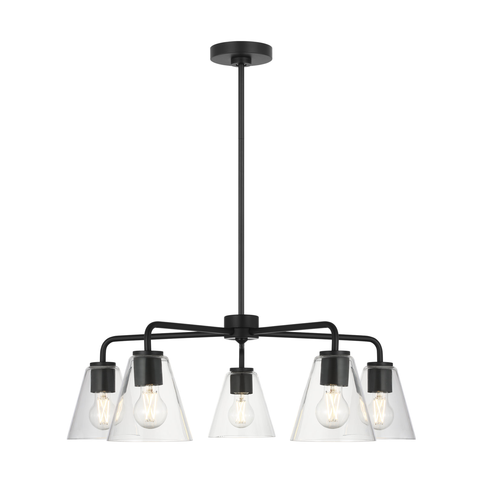 Hayden Five Light Chandelier, Clear, Midnight Black