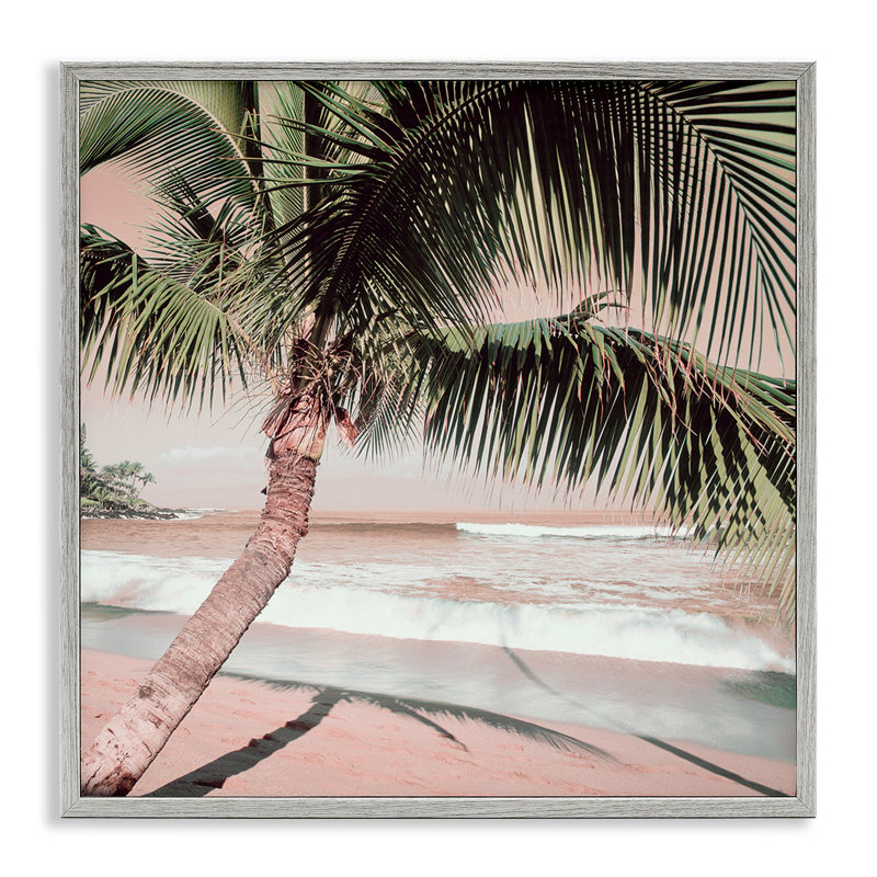 Palmier, ombre sur le sable, estampe numérique par Danita Delimont, Estampe numérique Farmhouse, H 12 po x l 12 po