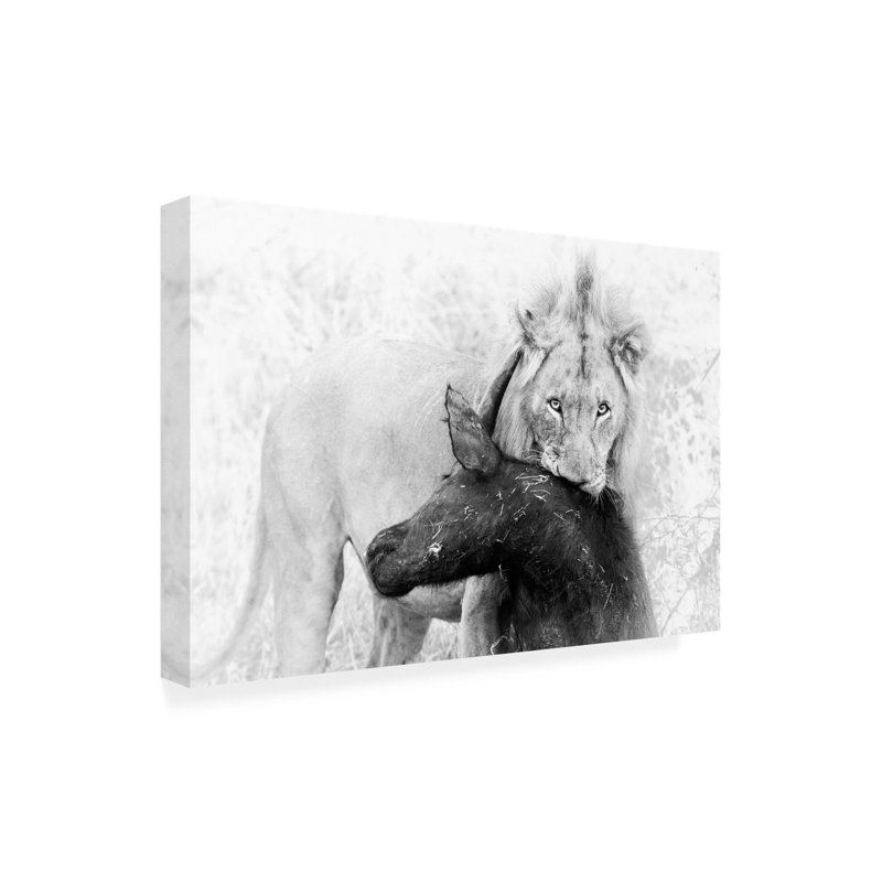 Art sur toile «Bachelor Thomas Froemmel», H 12 po x l 19 po