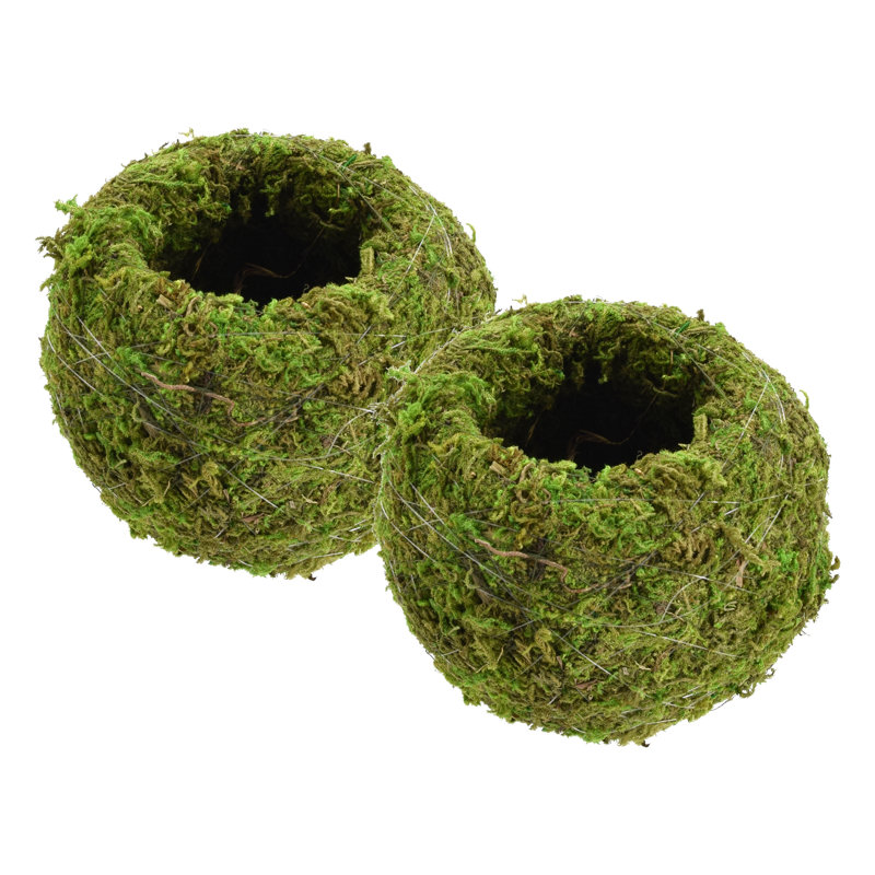 Bumgarner Pot Planter, 3.5" H x 4" W x 4" D, Green