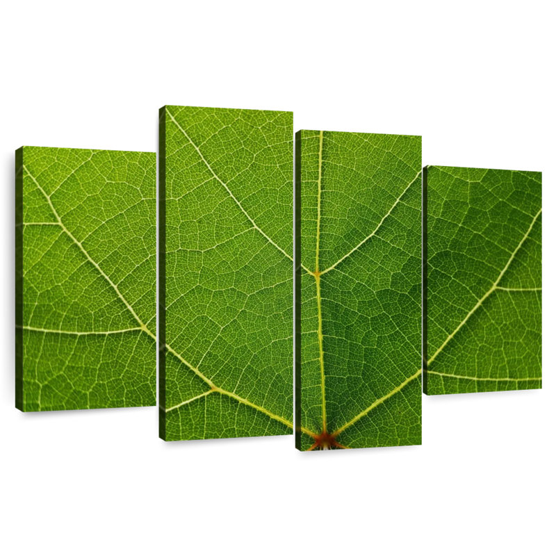 Feuille de raisin Harnek