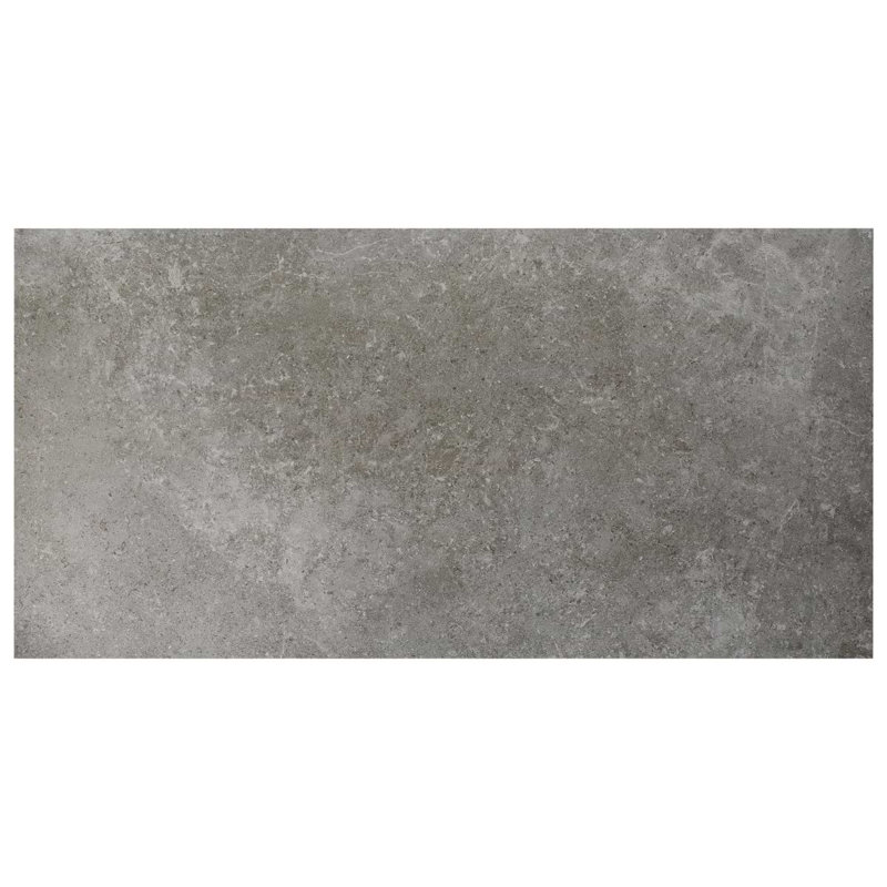New Rock 24x48 Matte Porcelain Tile, Fossil Dark Gray
