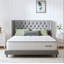 Novilla 23cm Memory Foam  Pocket Sprung Mattress-109175062