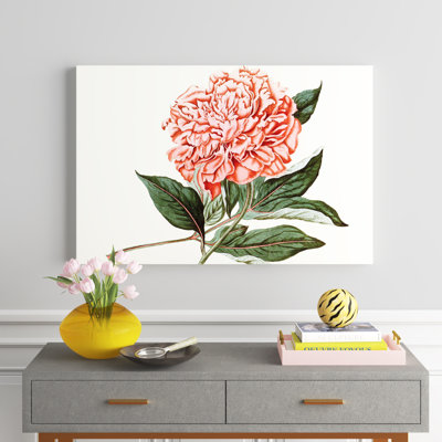 Peony Blush II by Curtis - Painting Print