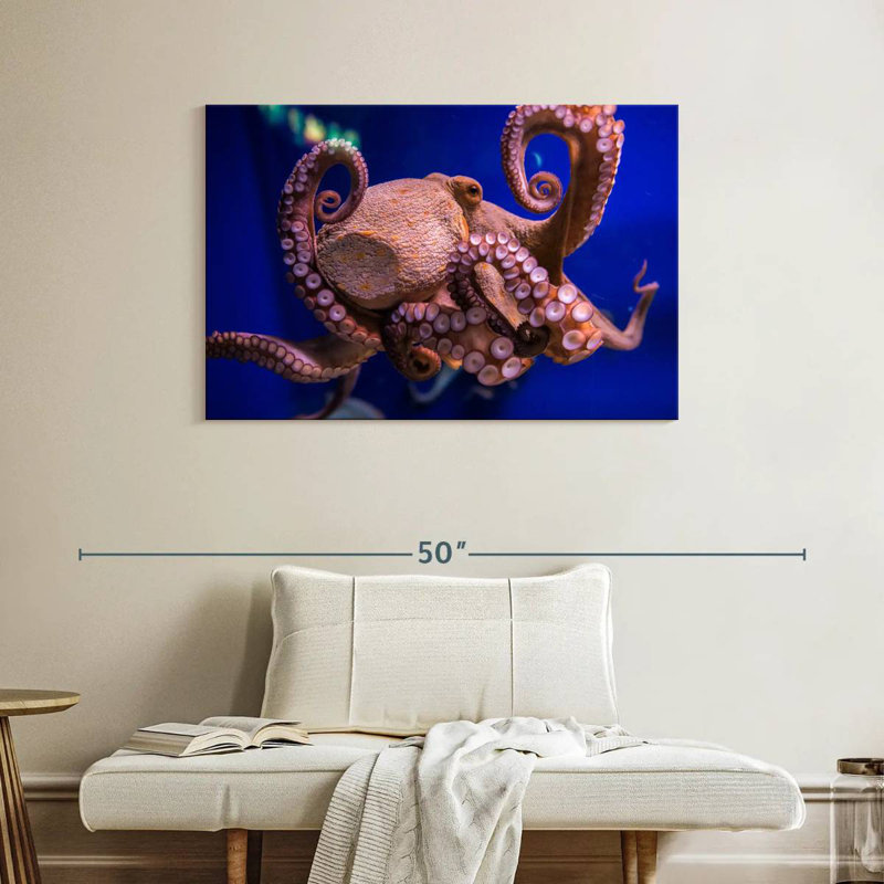 Octopus Prowess, H 26 po x l 39 po