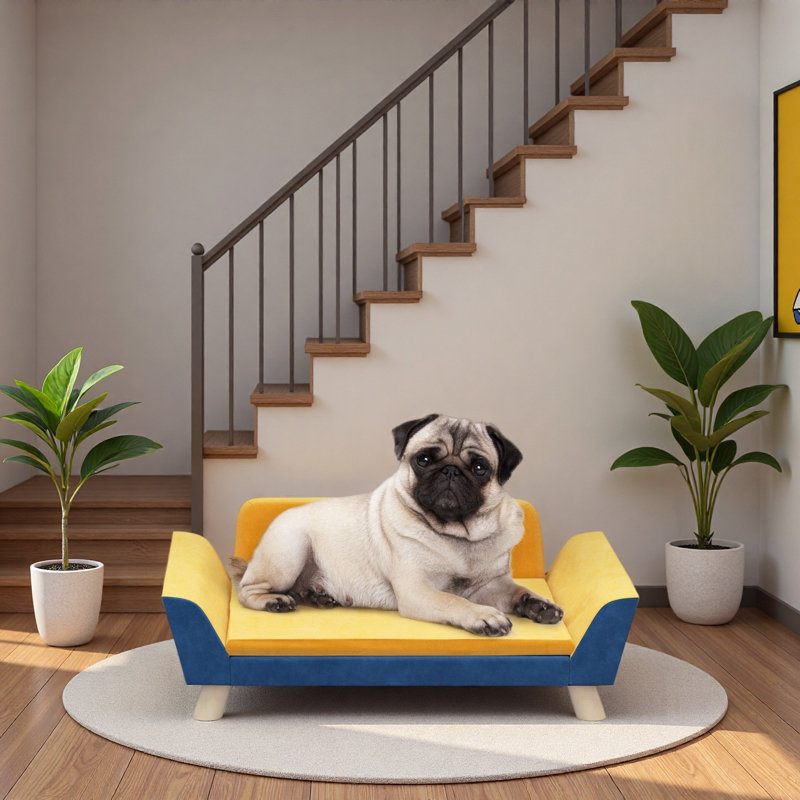 Canapé-lit pour chien pour petits chiens avec coussin souple, housse lavable et patins antidérapants