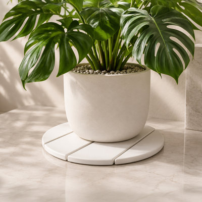 Soucoupe absorbant l'eau Premium Pierre Premium Diatomite
