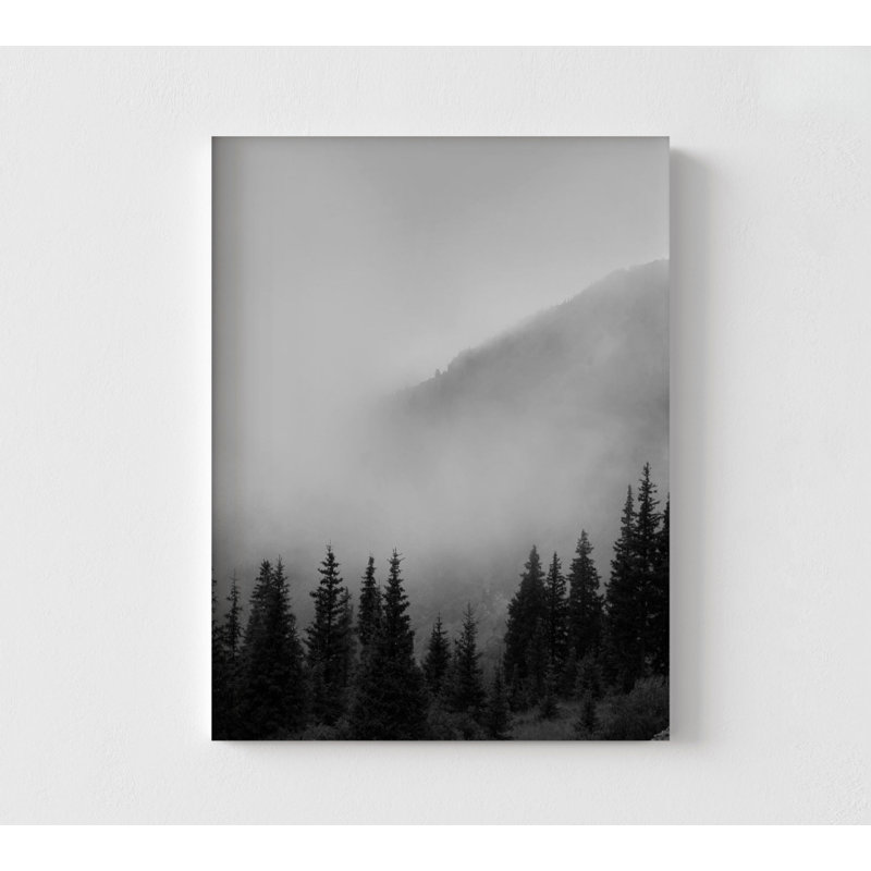 Paysage de montagne noir et blanc, art mural surdimensionné, impressions de photos d'arbres, cadres photo, art mural de grande forêt, photos noir et blanc