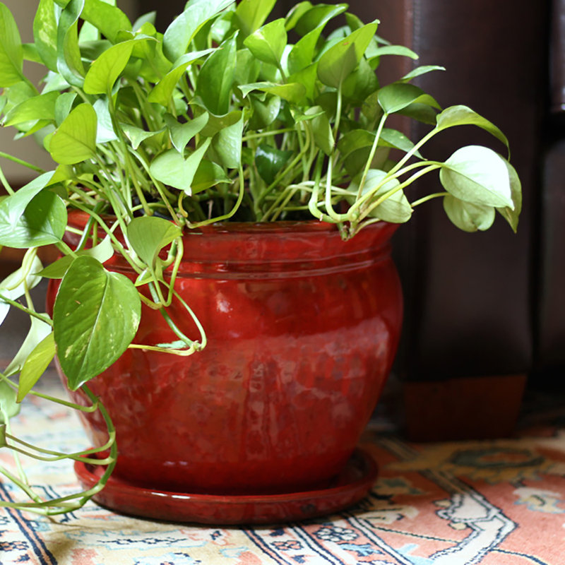 Handmade Ceramic Pot Planter