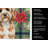 Cavapoo Christmas PoinsettIas Kitchen Towel-2080584098