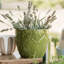 Viva Garden Handmade Planter-1670594848