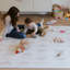 Tapis pour bébé Little Landings-123349745