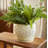 Handmade Ceramic Pot Planter