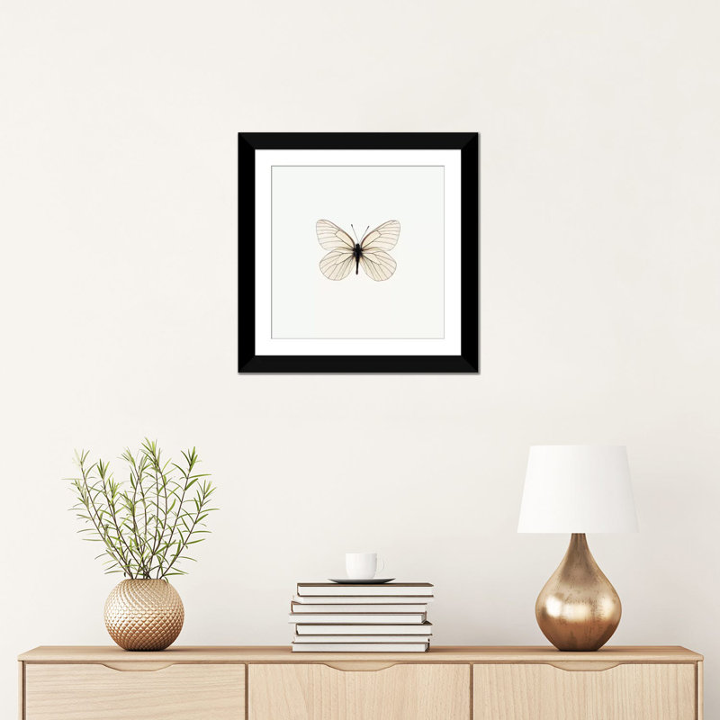 « white papillon », impression sur toile, H 16 po x l 16 po x P 1 po, Papier d'art encadré noir, Blanc