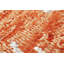 Cokato Hand Woven Area Rug-49711630