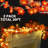 3.95'' Twinkle String Lights
