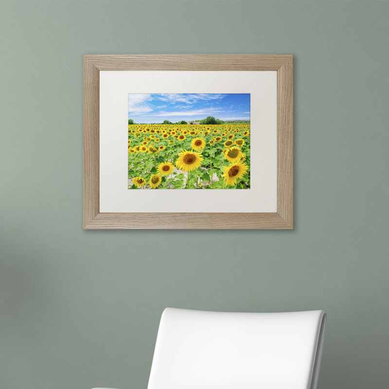 «Field of Yellow» par Michael Blanchette, reproduction de photo encadrée, Noir, H 16 po x l 20 po x P 0,5 po