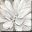 «Simply Soft (Square)» par Carol Robinson, reproduction-1385413802-1385413801