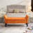 51.5" Bed Bench With Storage With Arm-1503668198