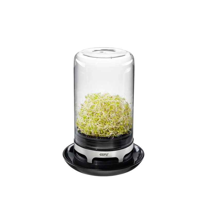 Sprouting Jar - Bivita