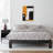 Jeannie Solid Wood Queen Size Platform Bed-1863808675