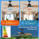 Emidia Standard Ceiling Fan with LED Lights Indoor