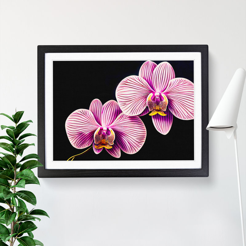 Head Turning Orchid Flowers - Single Picture Frame Print, Black, 46cm H x 64cm W x 2cm D