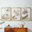 Oiseaux d'eau sépia I - reproduction sur mesure encadrée de qualité supérieure - 3 pièces-816943769-816943770