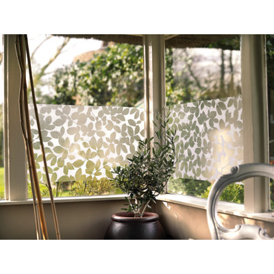 Flowers & Plants