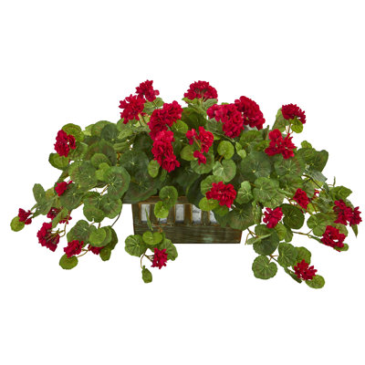 Geranium Arrangement in Planter