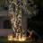Twinkly Strings 400 White Led, Led Light String For Outdoor And Indoor, Warm To Cool White Christmas Lights, Mappable Leds, Compatible With Alexa, Google Home, Ip44, App Control, Black Wire, 105ft-296936291-299304182