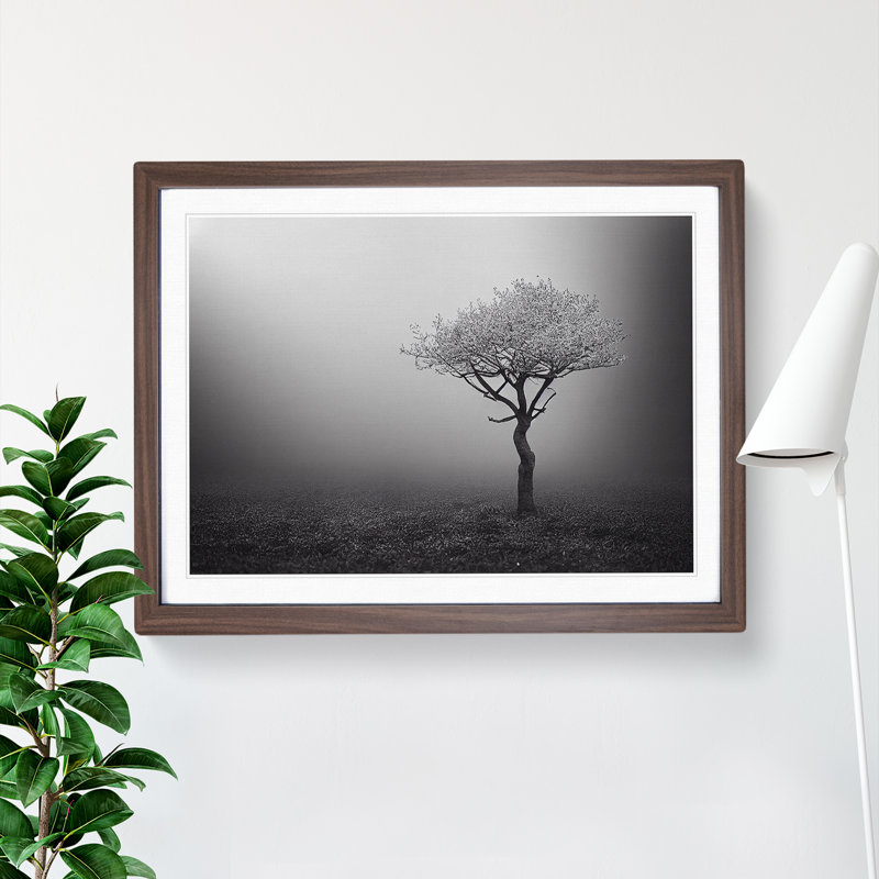 Lonely Tree - Single Picture Frame Print, 46cm H x 64cm W x 2cm D, Walnut